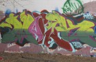 Molek