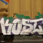 Kost