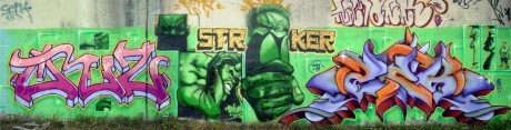 Criz Strike Zek