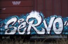 Servo