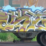 kost