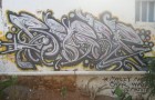 begor2