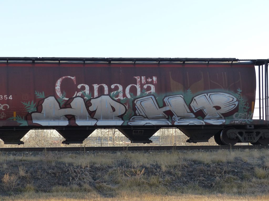 P1170154
